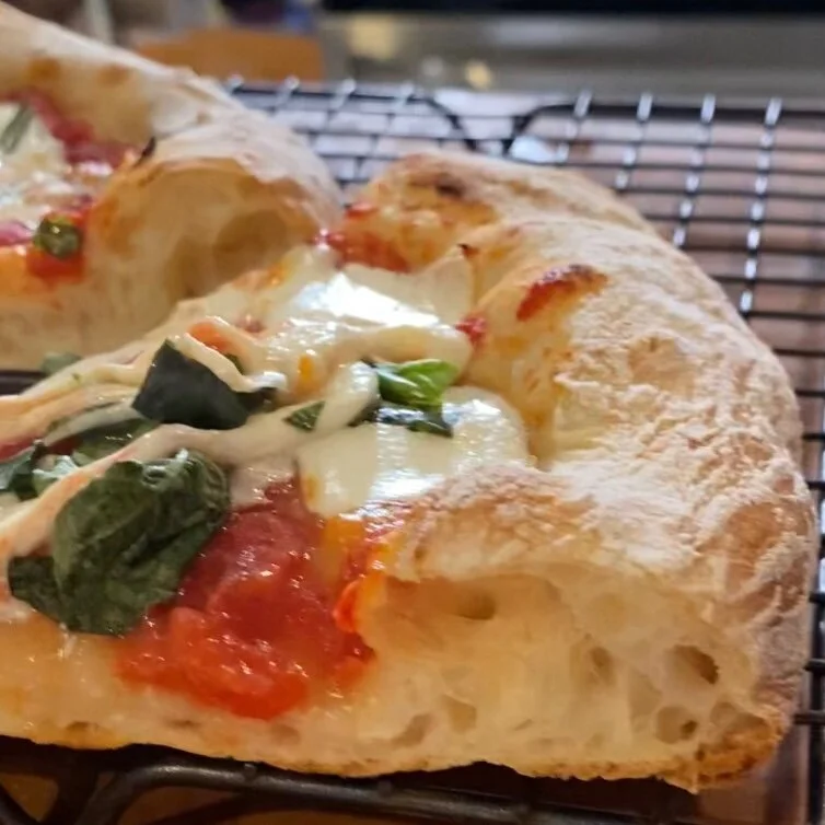 DLB 48-Hour Stretch &amp; Fold Pizza Dough 88% Hydration