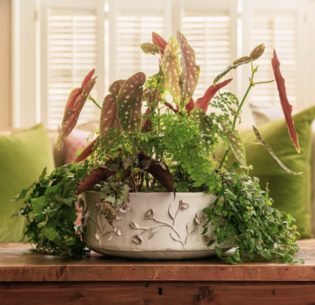 Large Embellished Planter- HW