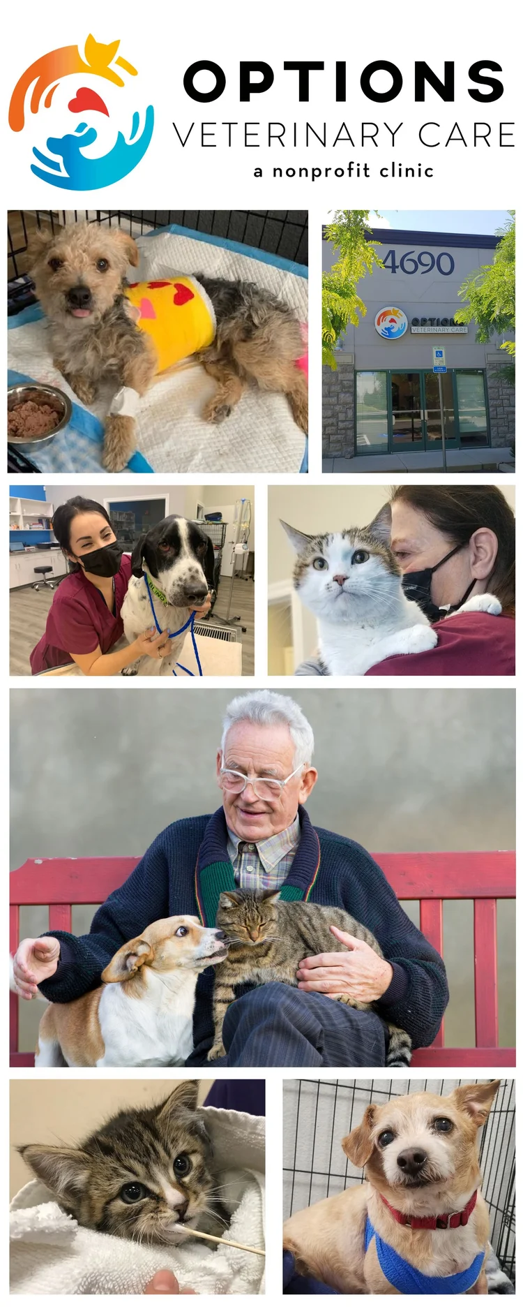 NCET Tech Wednesday Options Veterinary Care Nonprofit Clinic