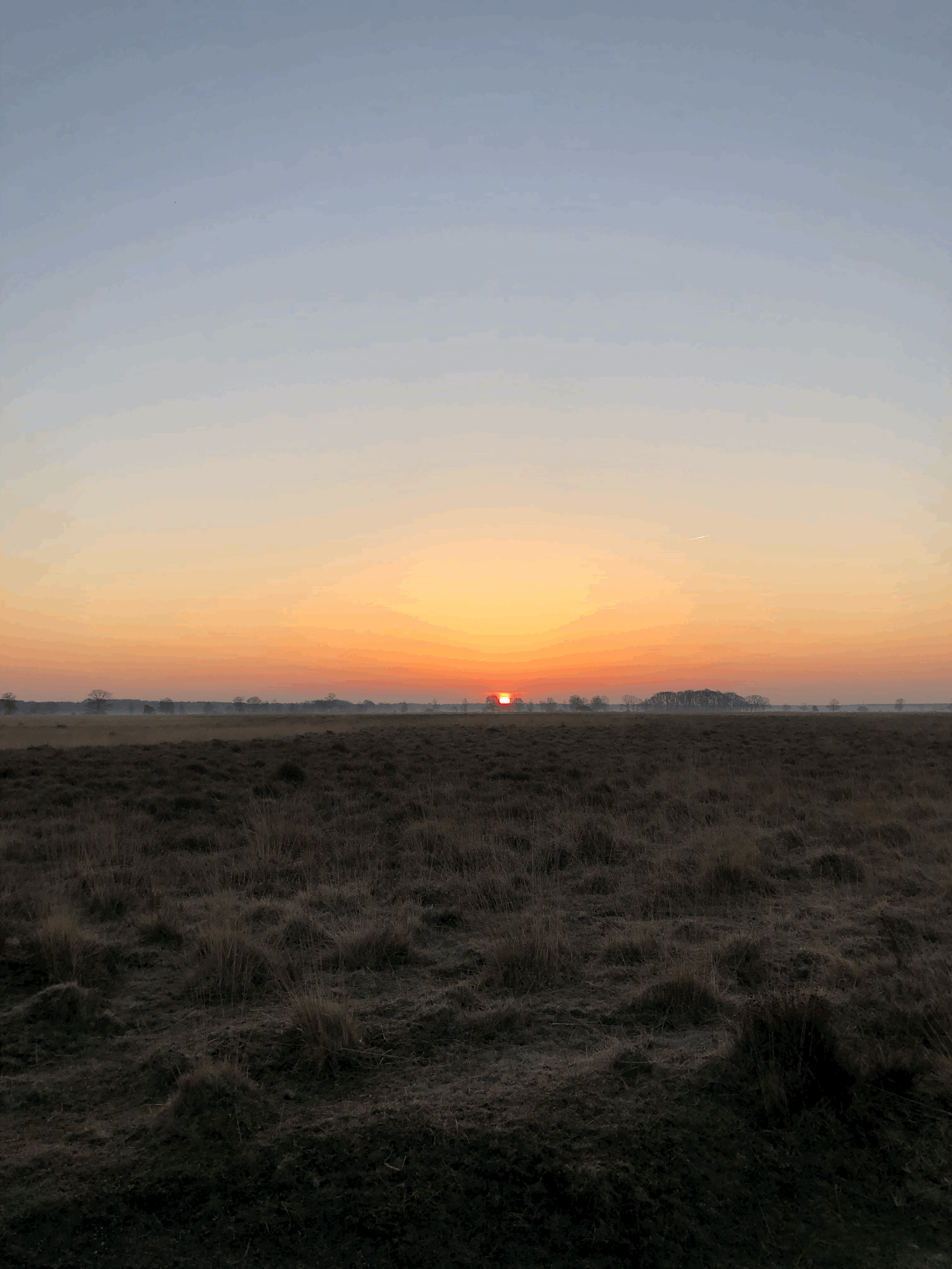tempImageI2ApHd.gif
