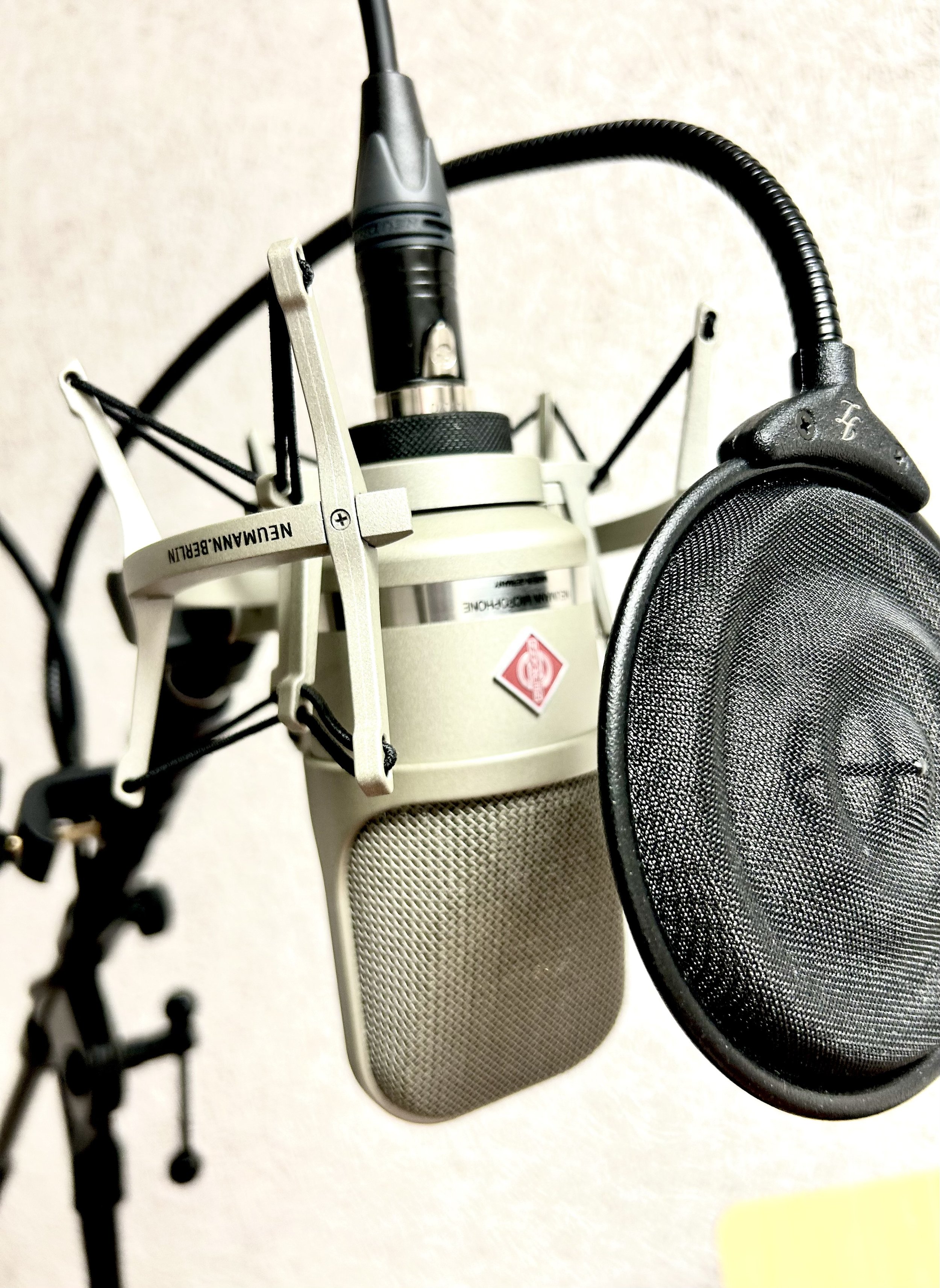 Close-up of a voice mic