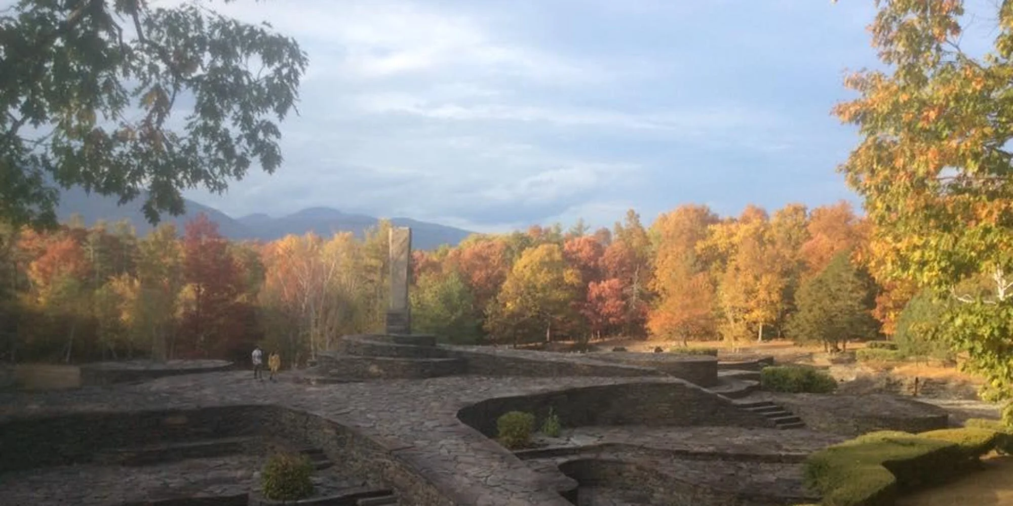 opus 40.jpg