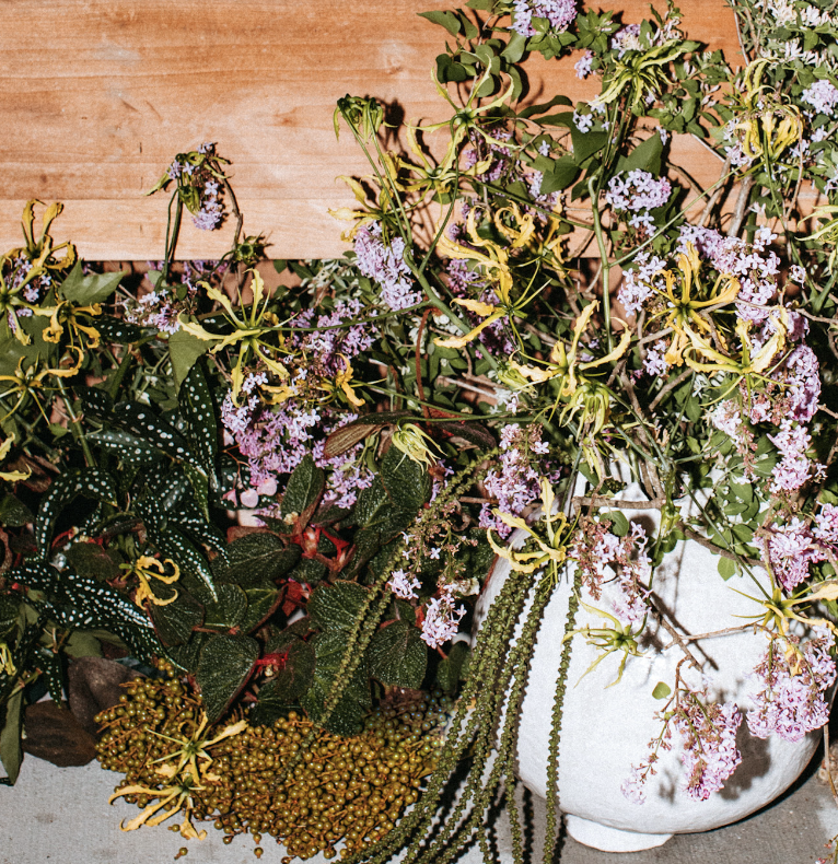 Screenshot 2026-01-06 at 5.42.08 PM.png