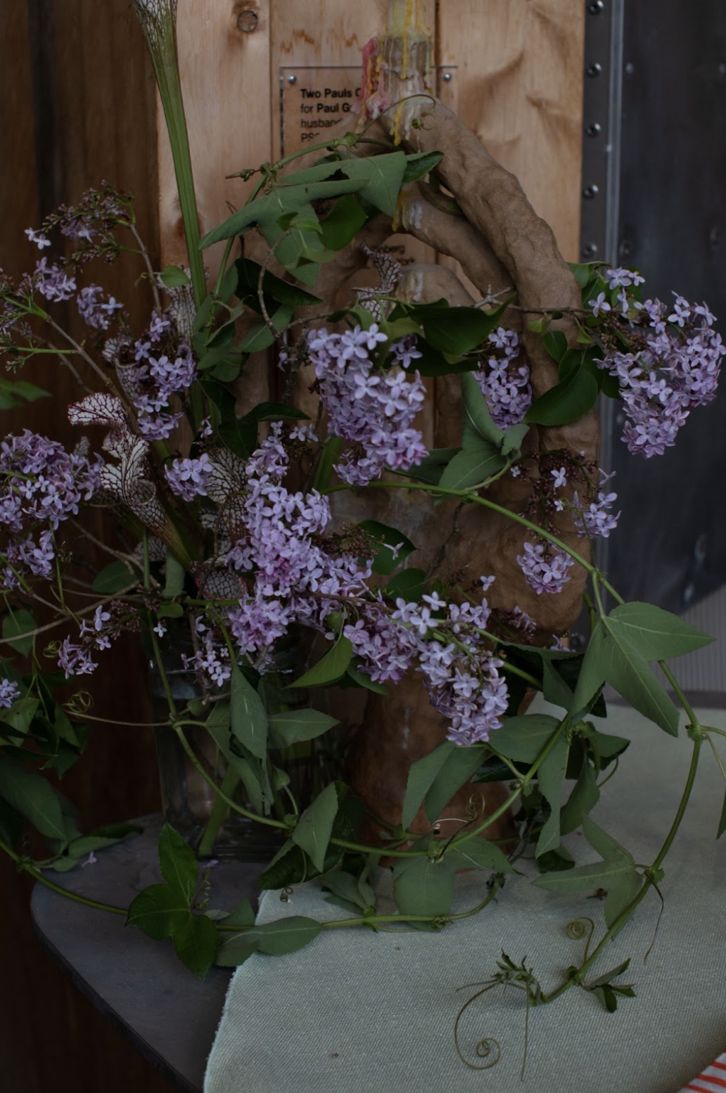 Screenshot 2026-01-06 at 5.42.17 PM.png