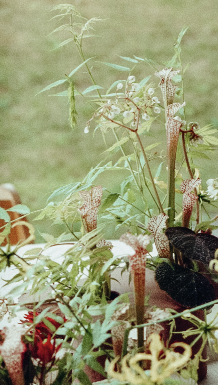 Screenshot 2026-01-06 at 5.41.04 PM.png