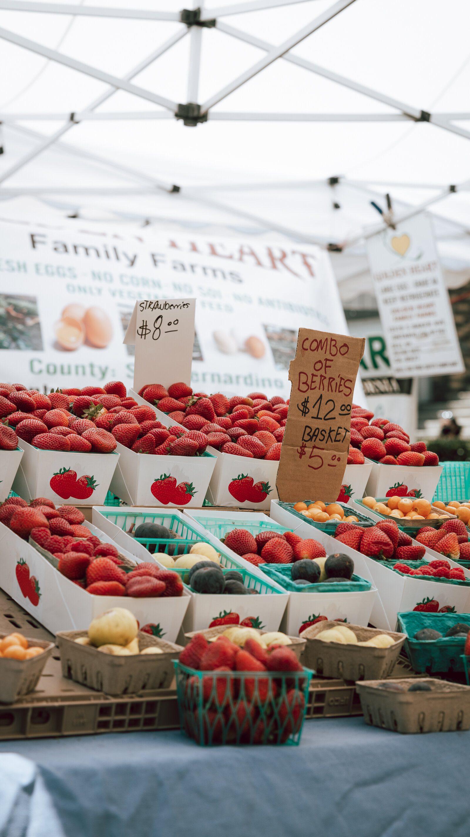 RUNWAY Farmers Mkt-4.jpeg