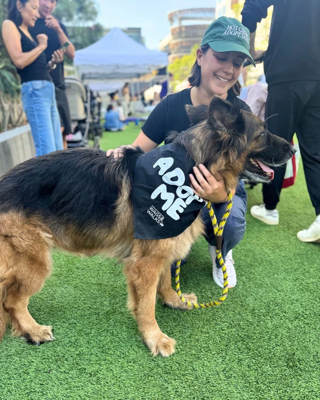 What a day at RUNWAY Playa Vista!🐾💛 Thank you to everyone who came out to celebrate National Rescue Dog Day with us, @wagsandwalks, and @healthyspot. It was incredible seeing the community come together to meet adoptable pups, bring their own furry