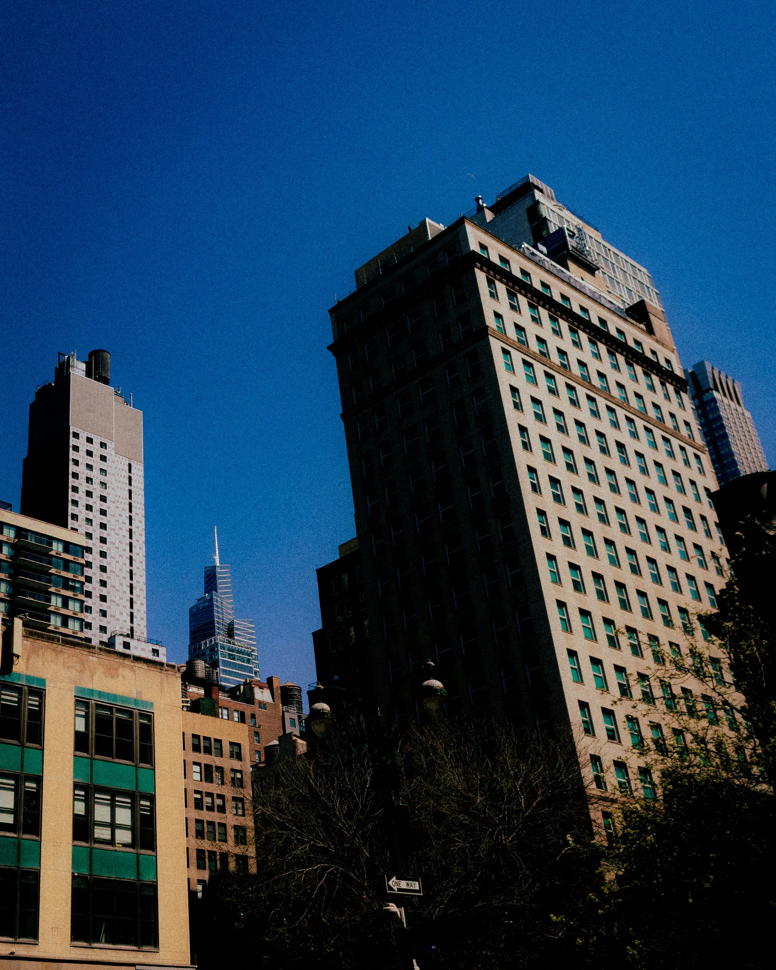 IMG_9260.jpg