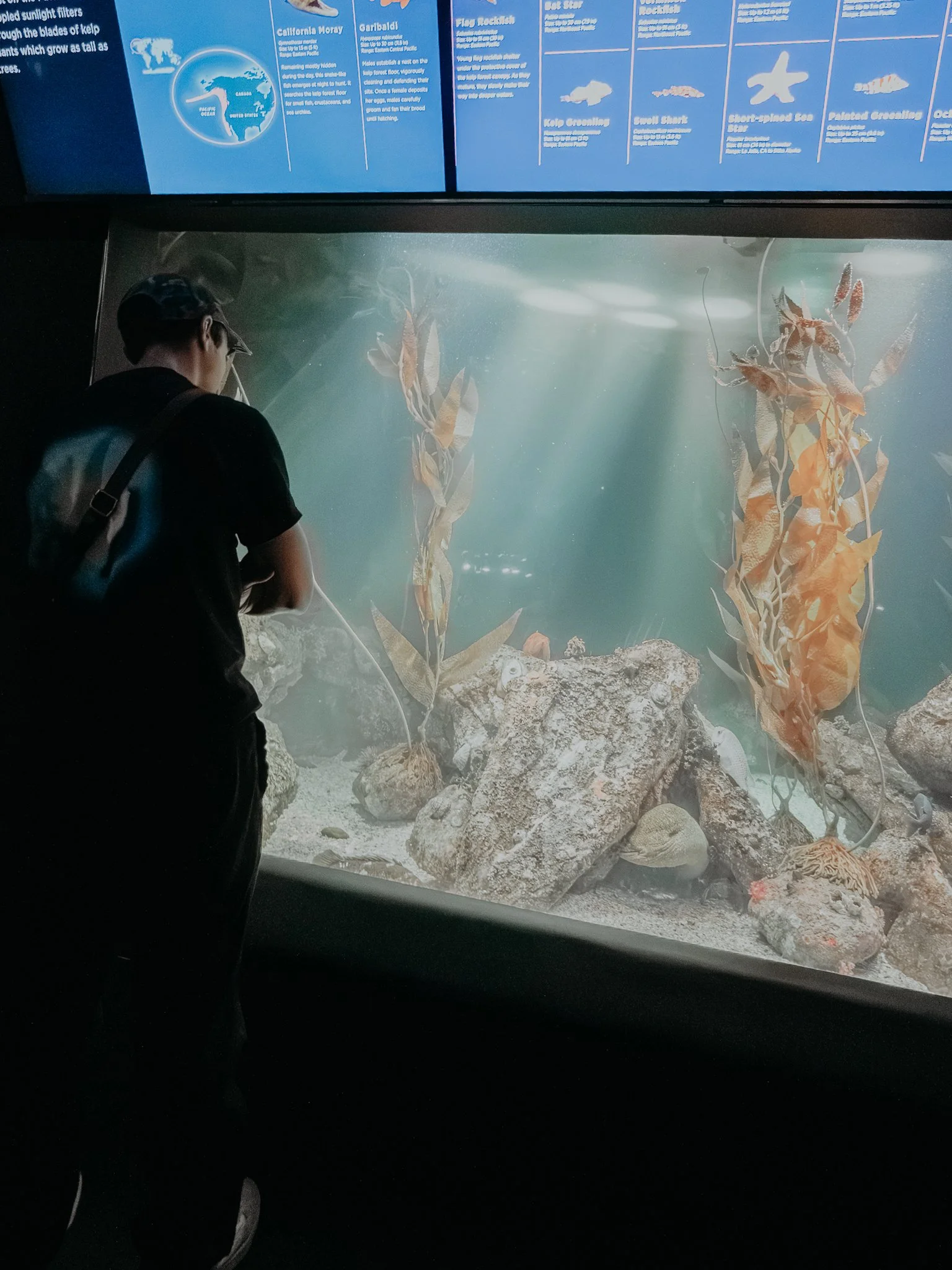 AQUARIUM-08.JPG