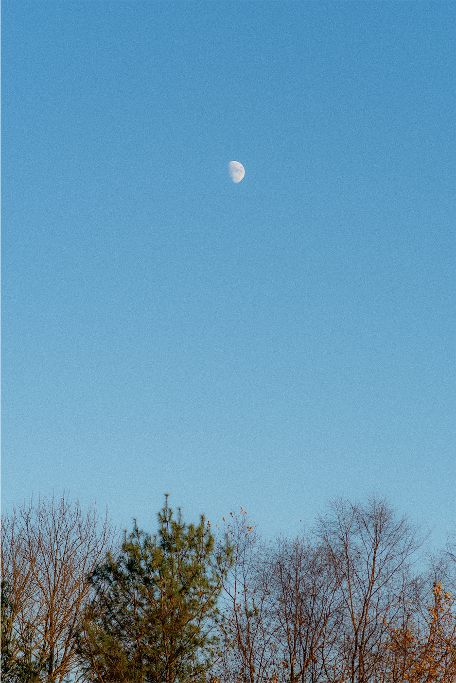 Screen Shot 2022-03-04 at 9.07.08 PM.png