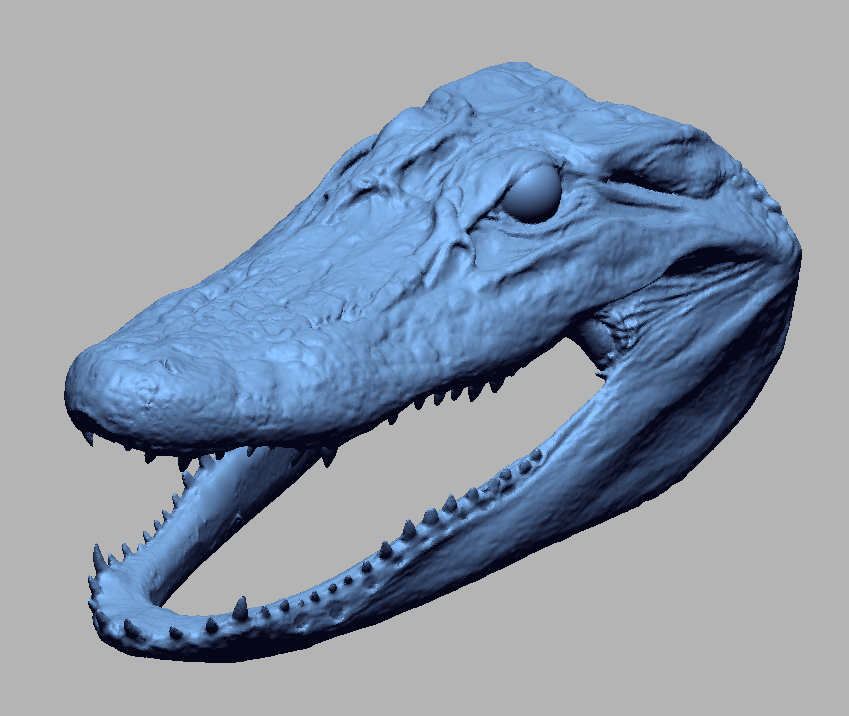 Gator Head1 (1).PNG