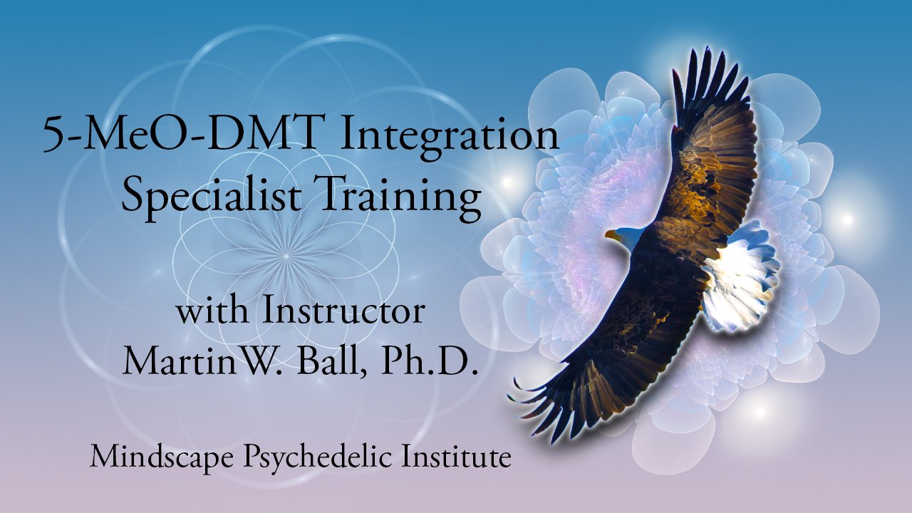 5-MeO-DMT Integration Training