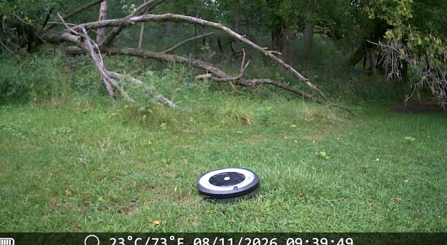 roomba forest