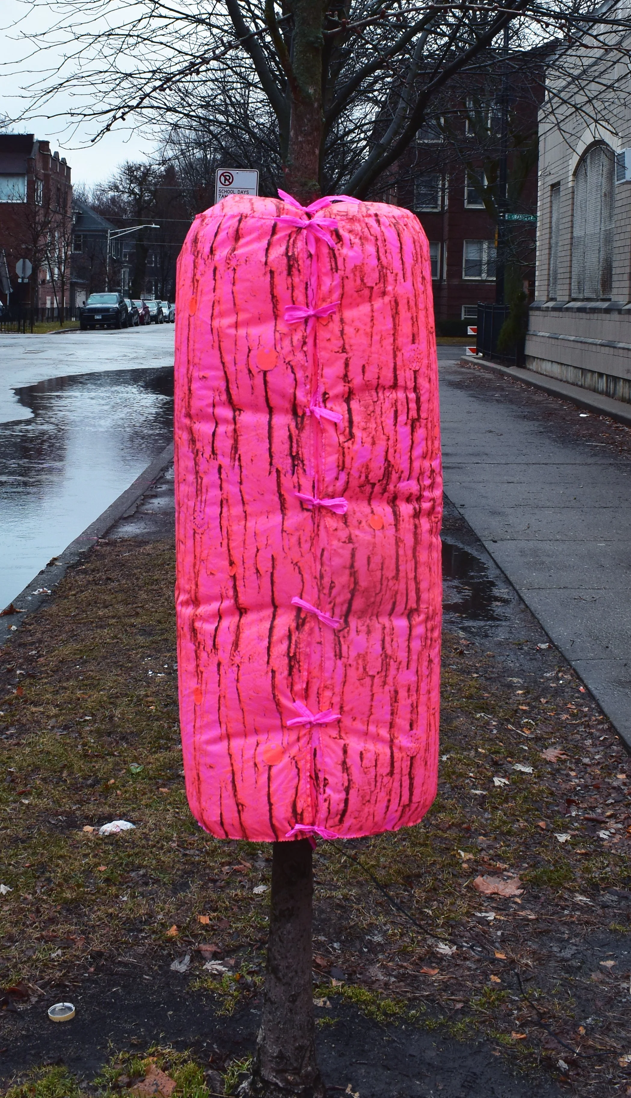 DSC_0401.jpg