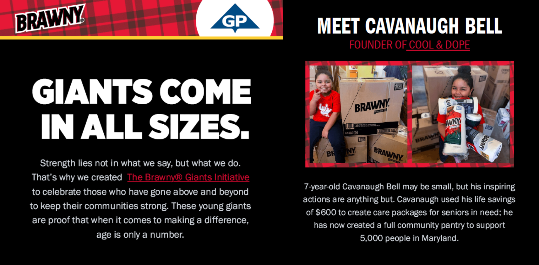 Copy developed for The Brawny Giants Initiative email campaign.