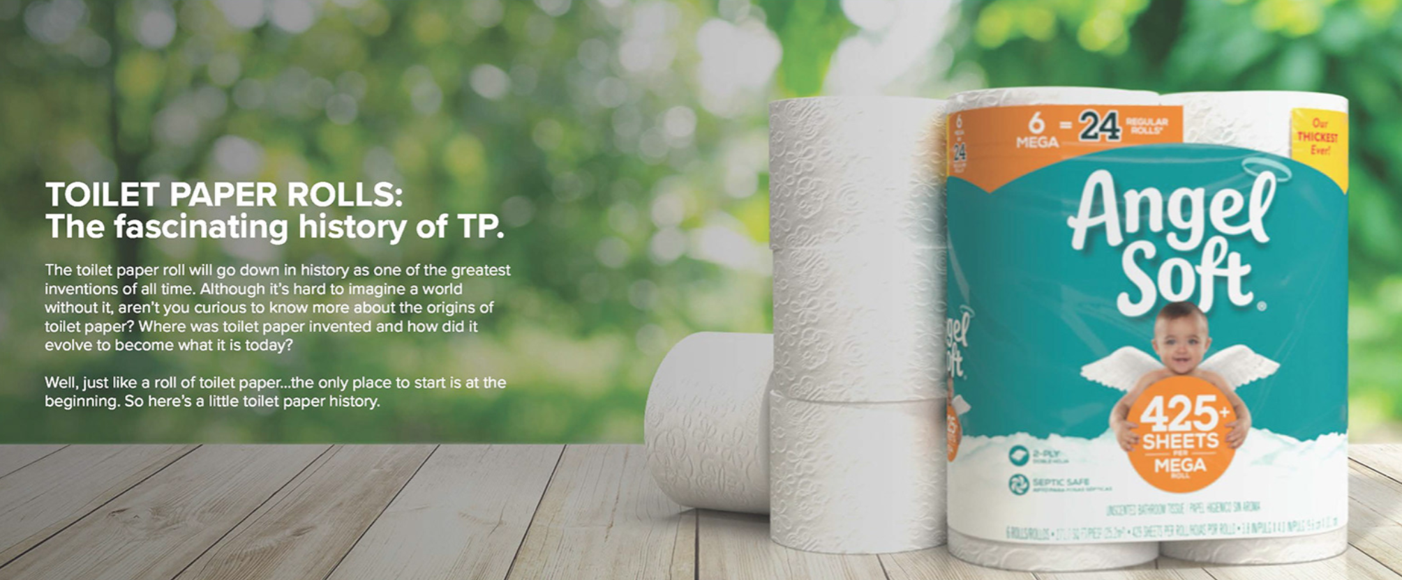 Landing page copy developed for Angel Soft toilet paper.