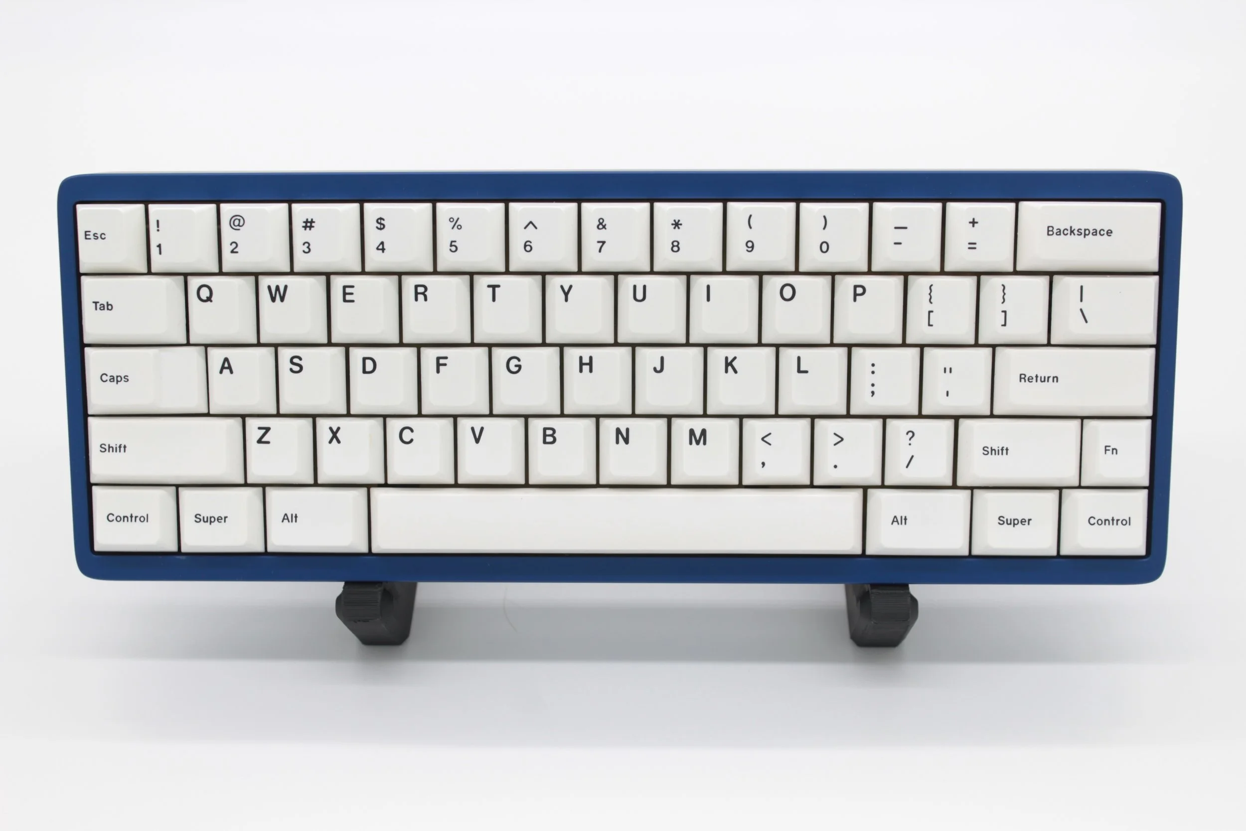 Blue Palmetto 3 of 5.JPG