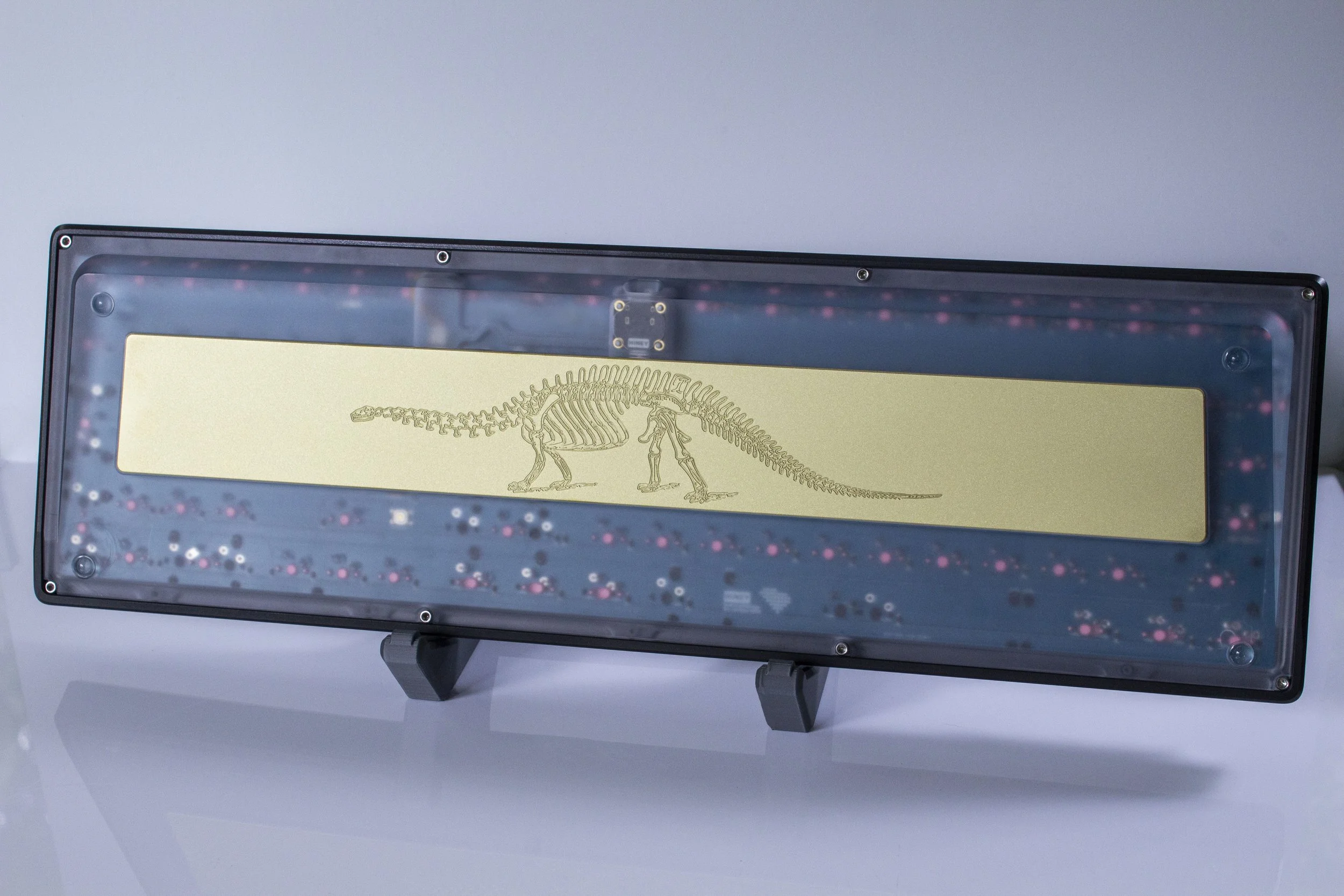 Poly_Fossil_2_of_3.jpg