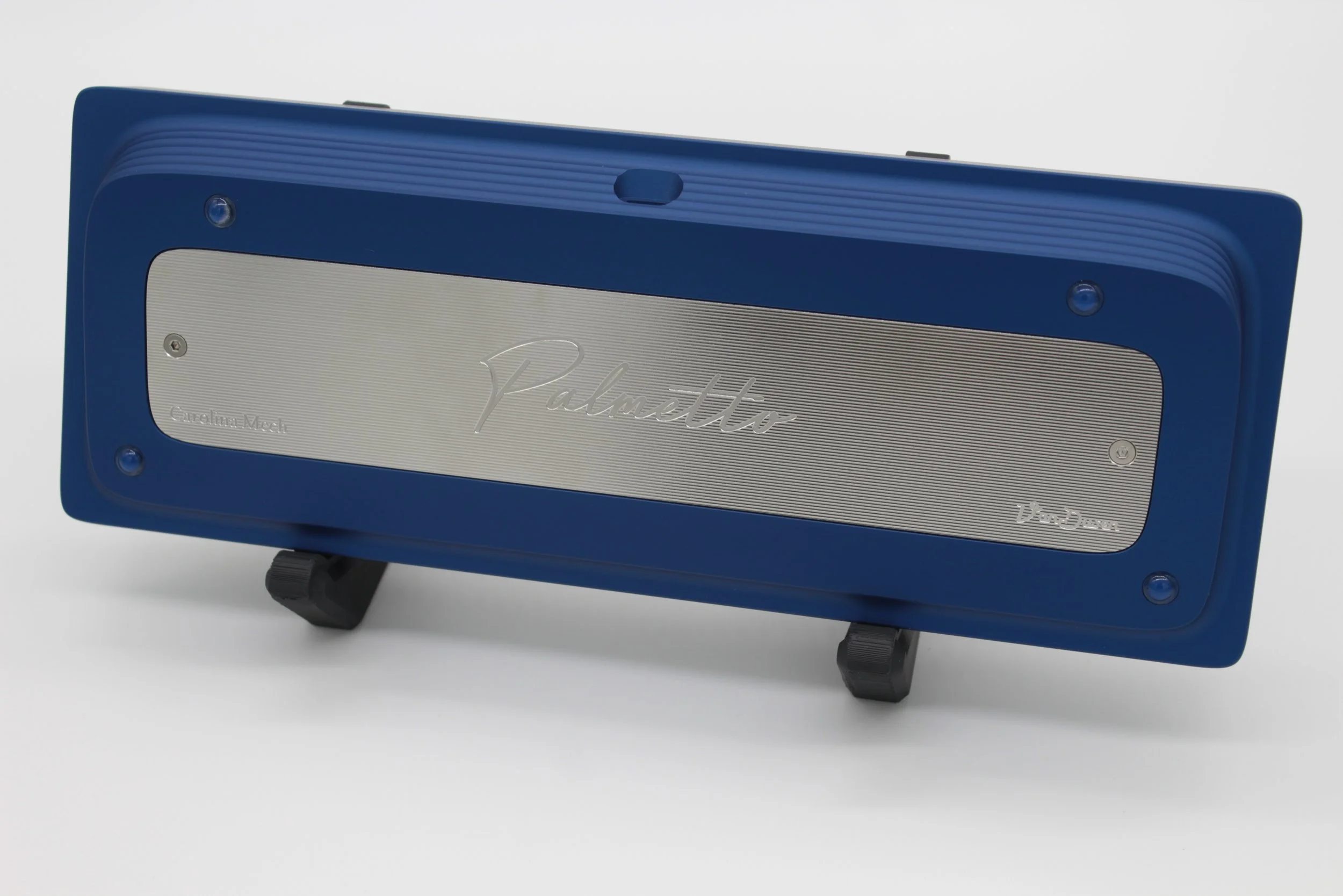 Blue Palmetto 4 of 5.JPG