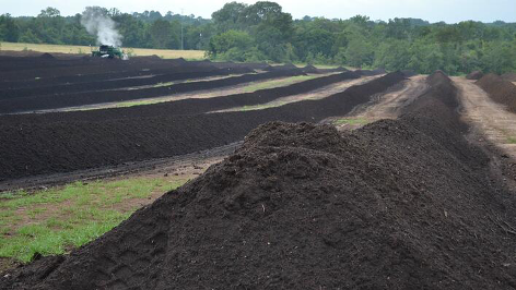 Composting Pic.png