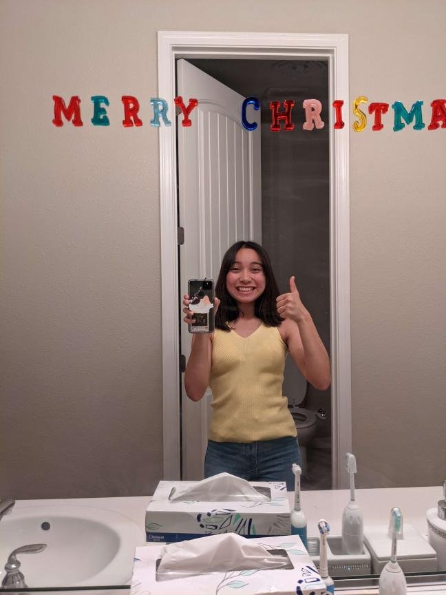 mermchrismas.jpeg