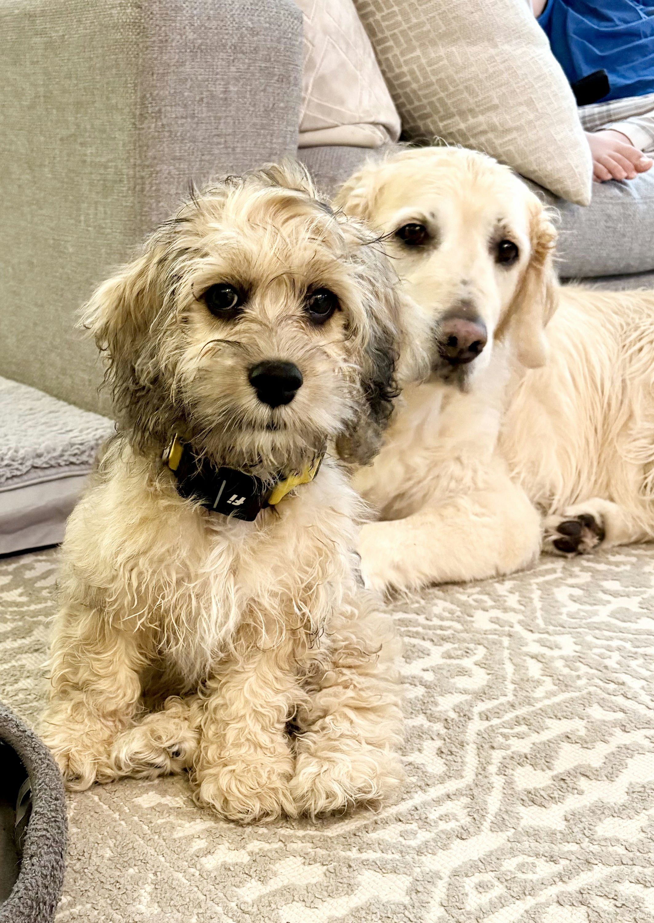 Charlie and Oliver