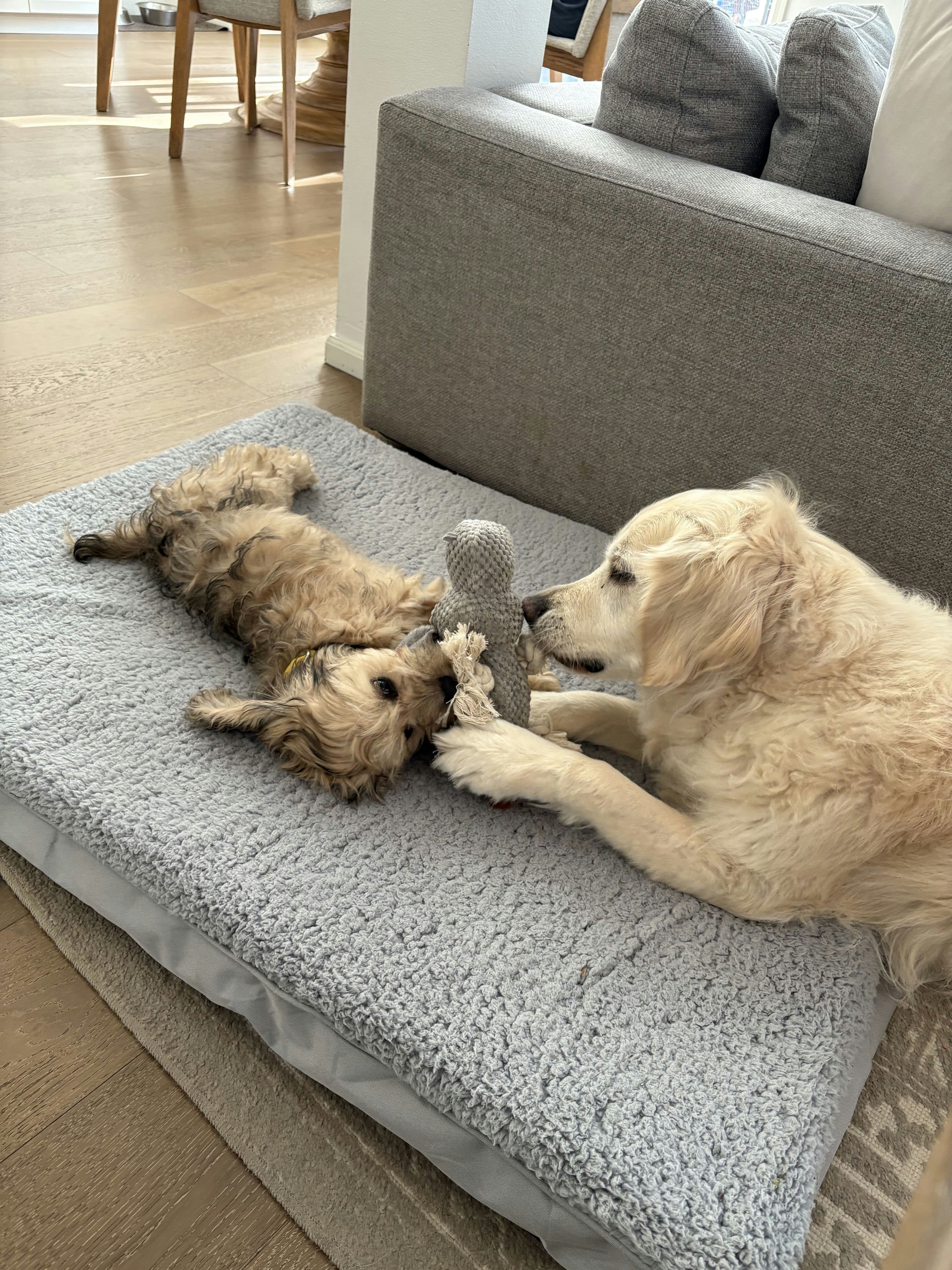 Charles and Oliver