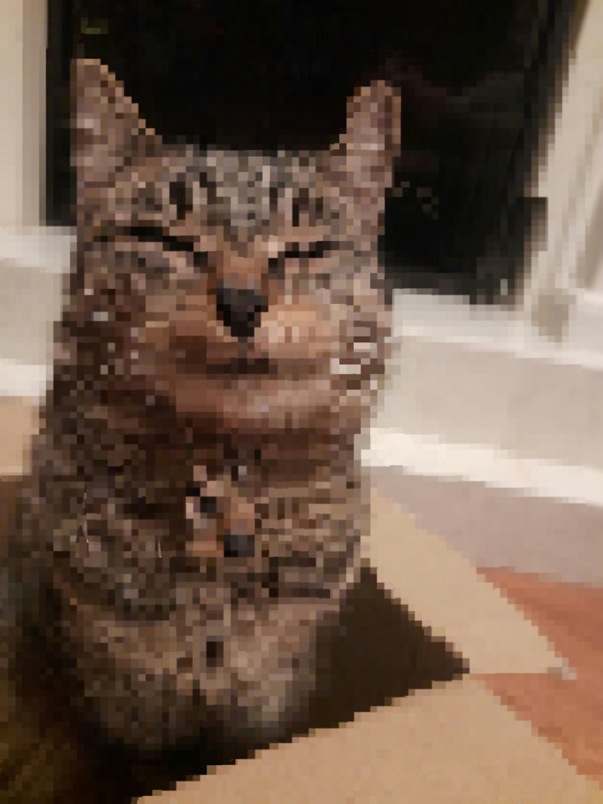 Kiki