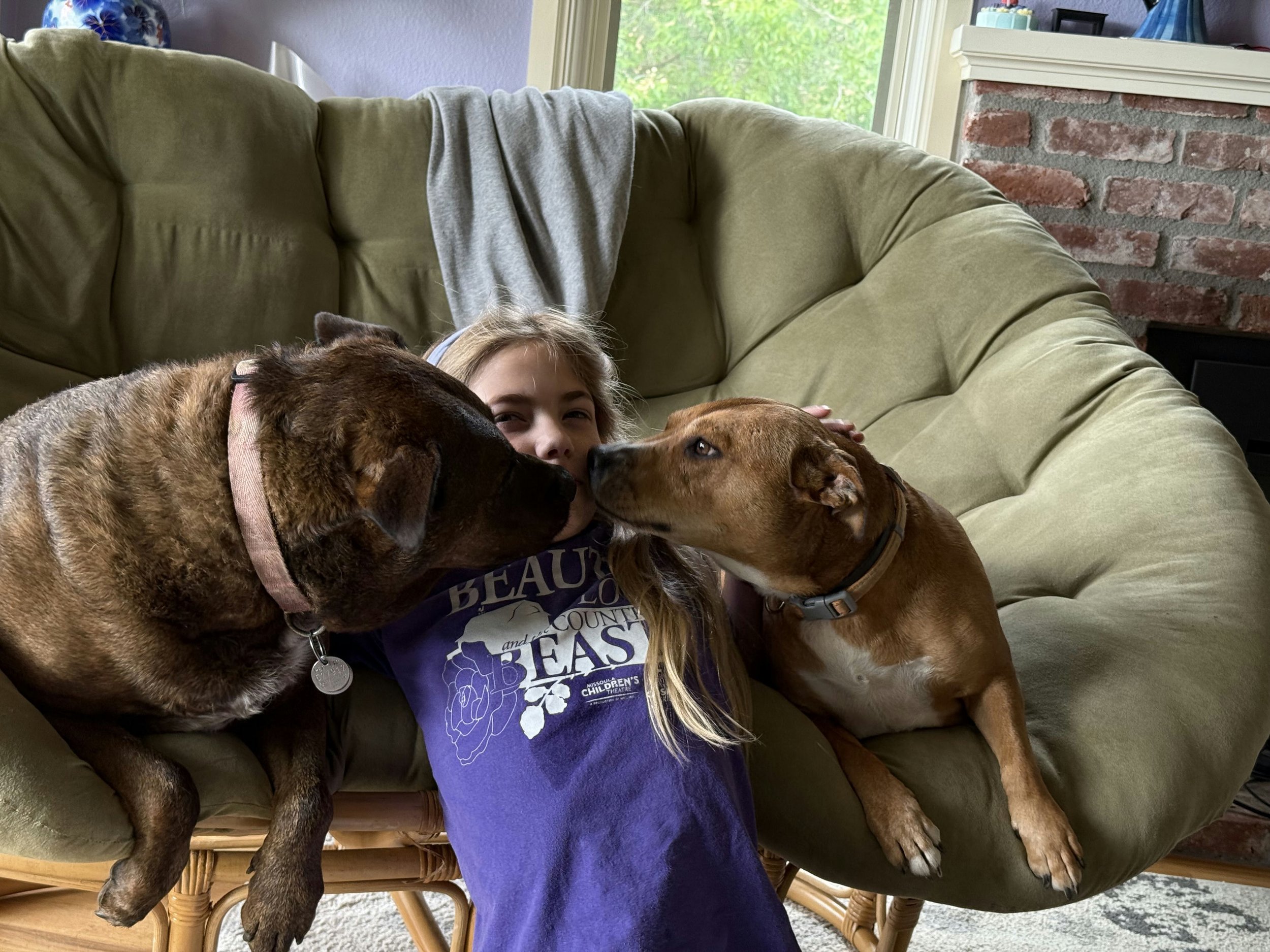 Bella, Duchess & PaiGow