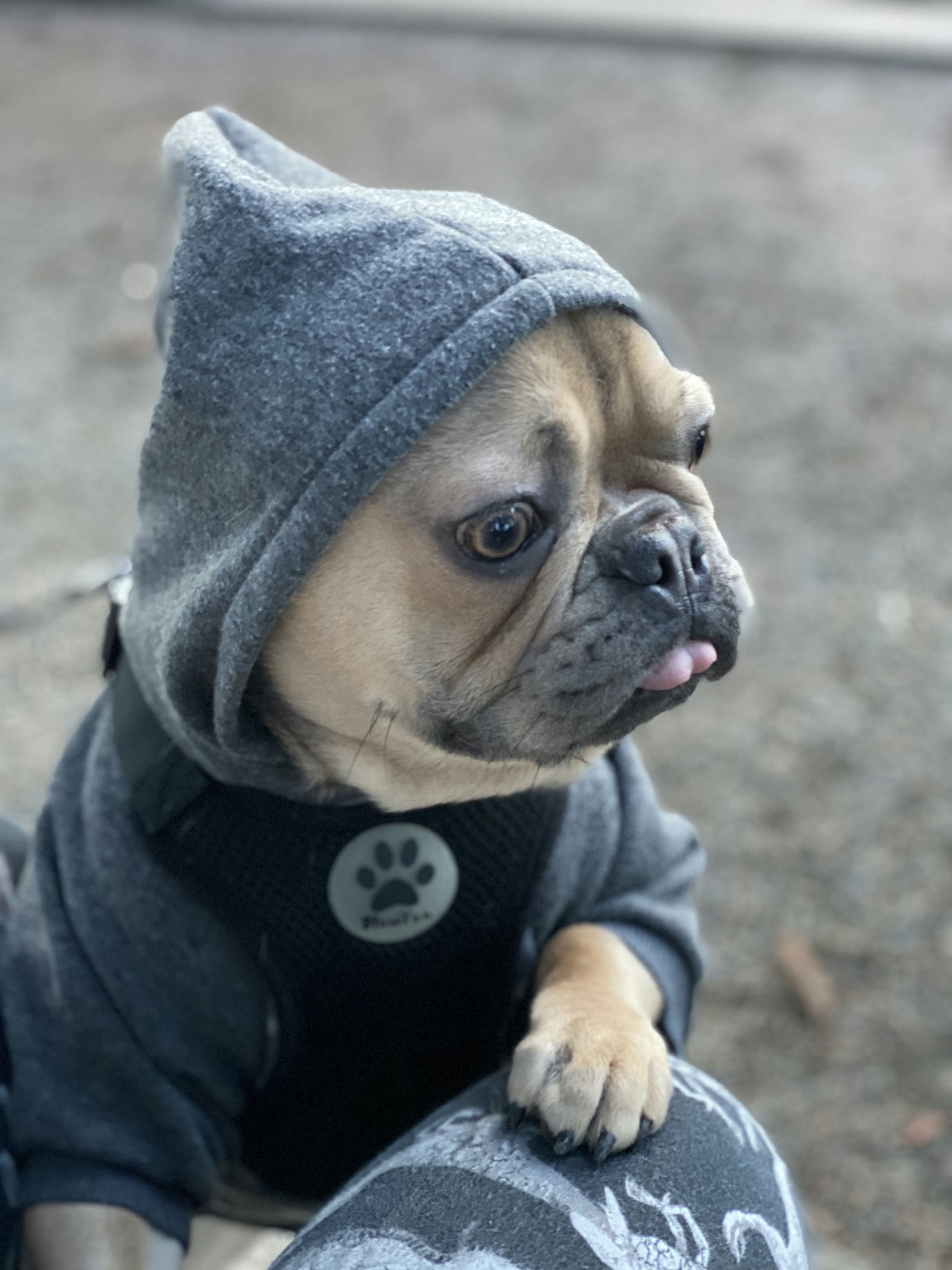 Maliki