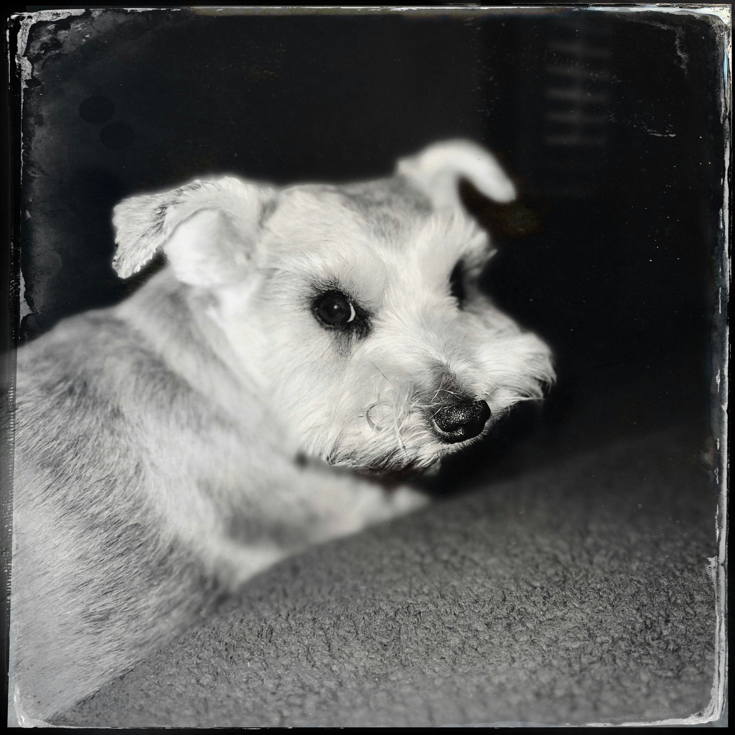 Minnie Pearl