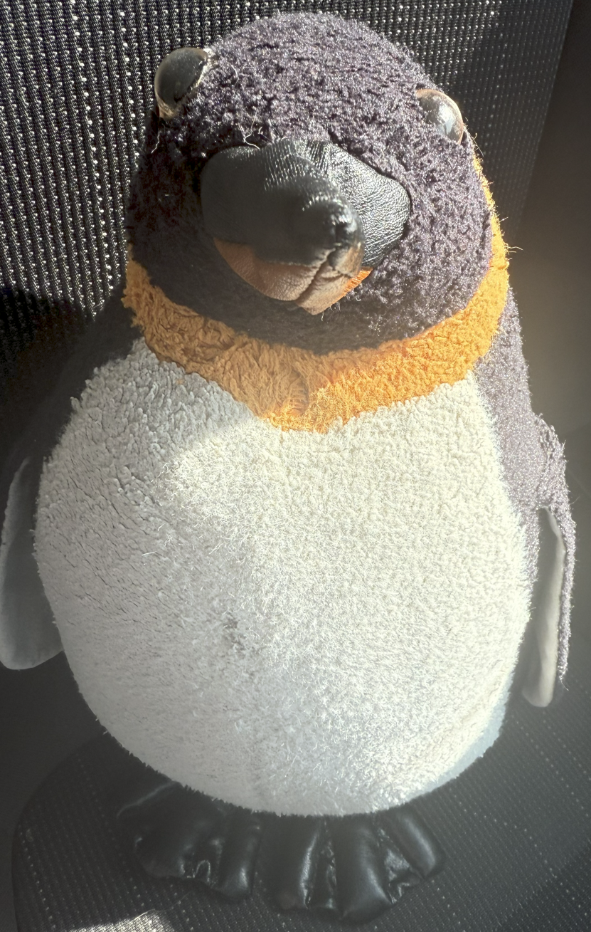 Pablo