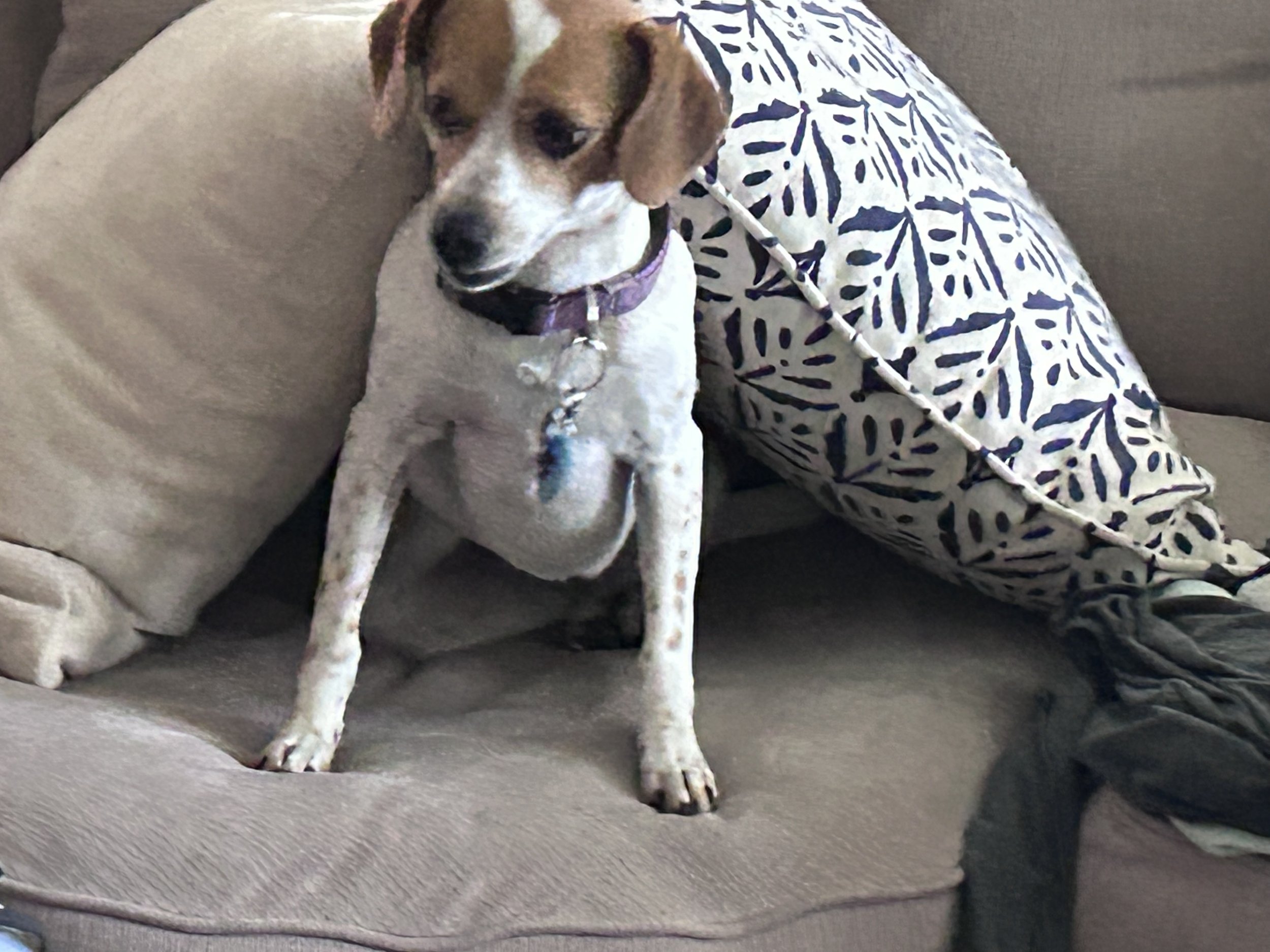 Chloe