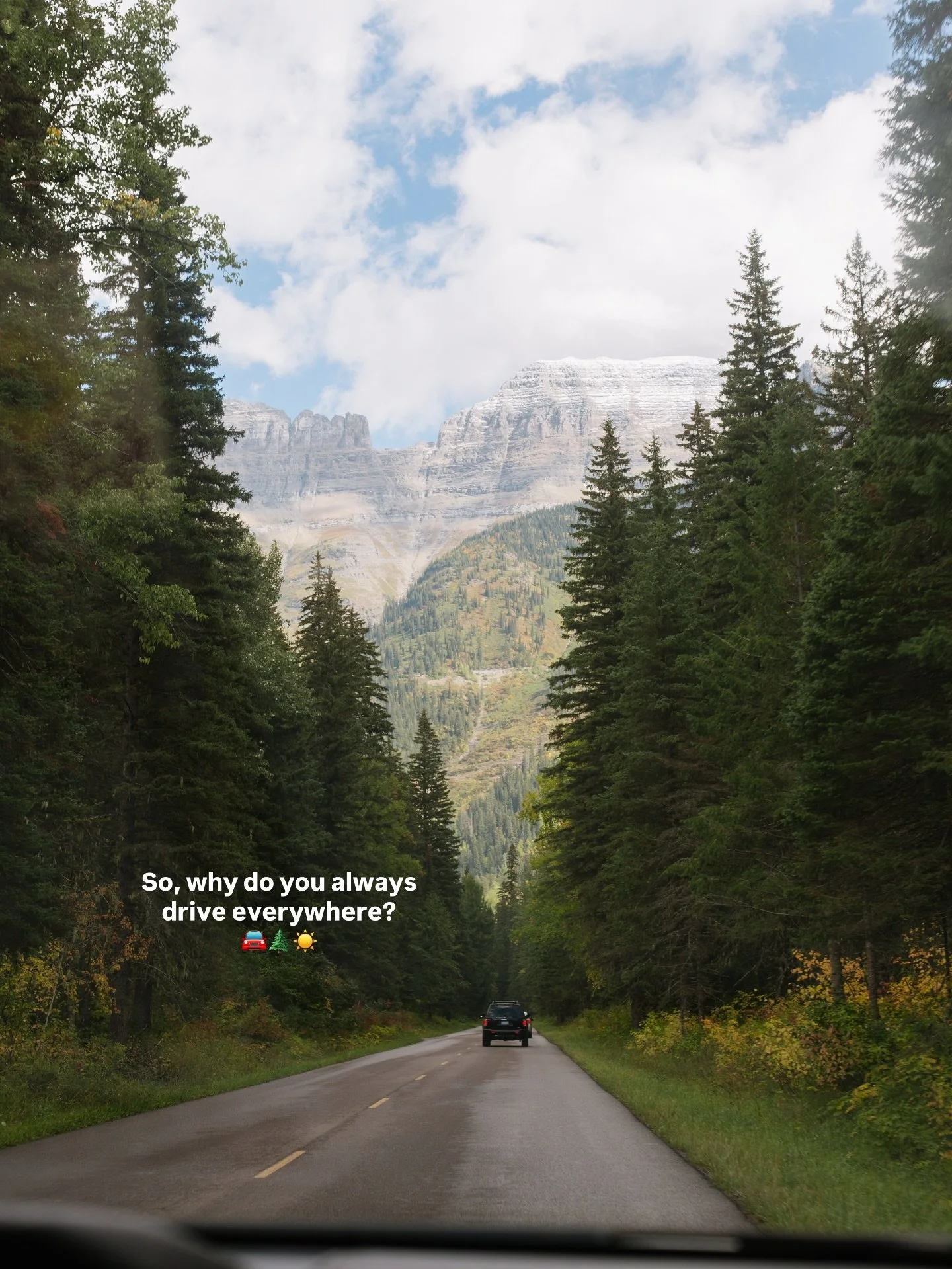 Seeing the world with our dogs? Wouldn&rsquo;t trade it for anything 🫶 Even when that means a 15 hour drive vs taking a 2 hour flight. 

What&rsquo;s your take: the fast or the scenic route?!
.
.
.
.
#roadtripwithdogs #travelwithdogs #dogsthatexplor