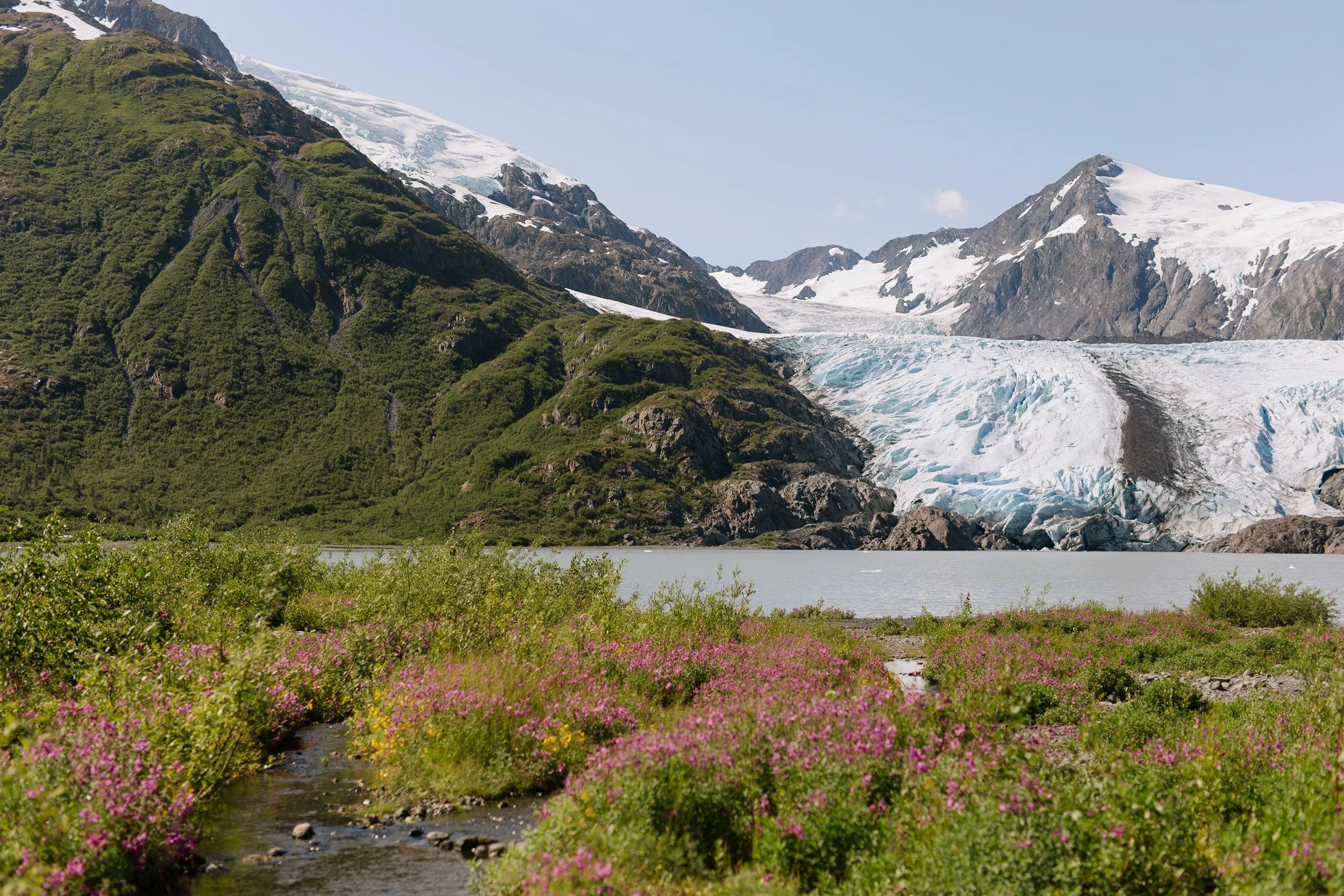 Easy Hikes Near Anchorage: My 5 Favorites After Living in Alaska