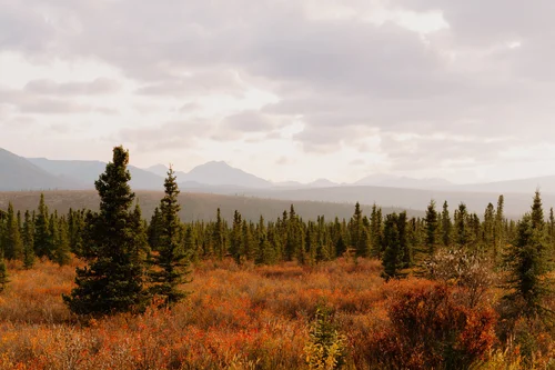 Fall in Alaska: 13 Best Things to Do and See (September & October Guide)