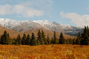Fall in Alaska: 13 Best Things to Do and See (September & October Guide)