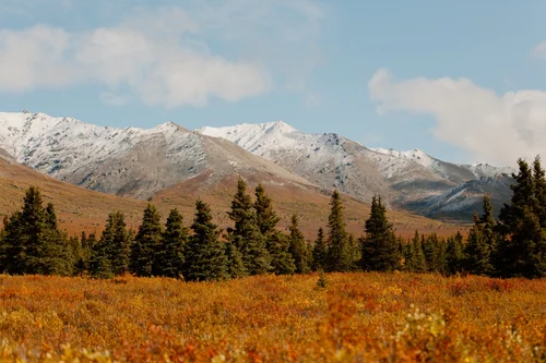 Fall in Alaska: 13 Best Things to Do and See (September & October Guide)