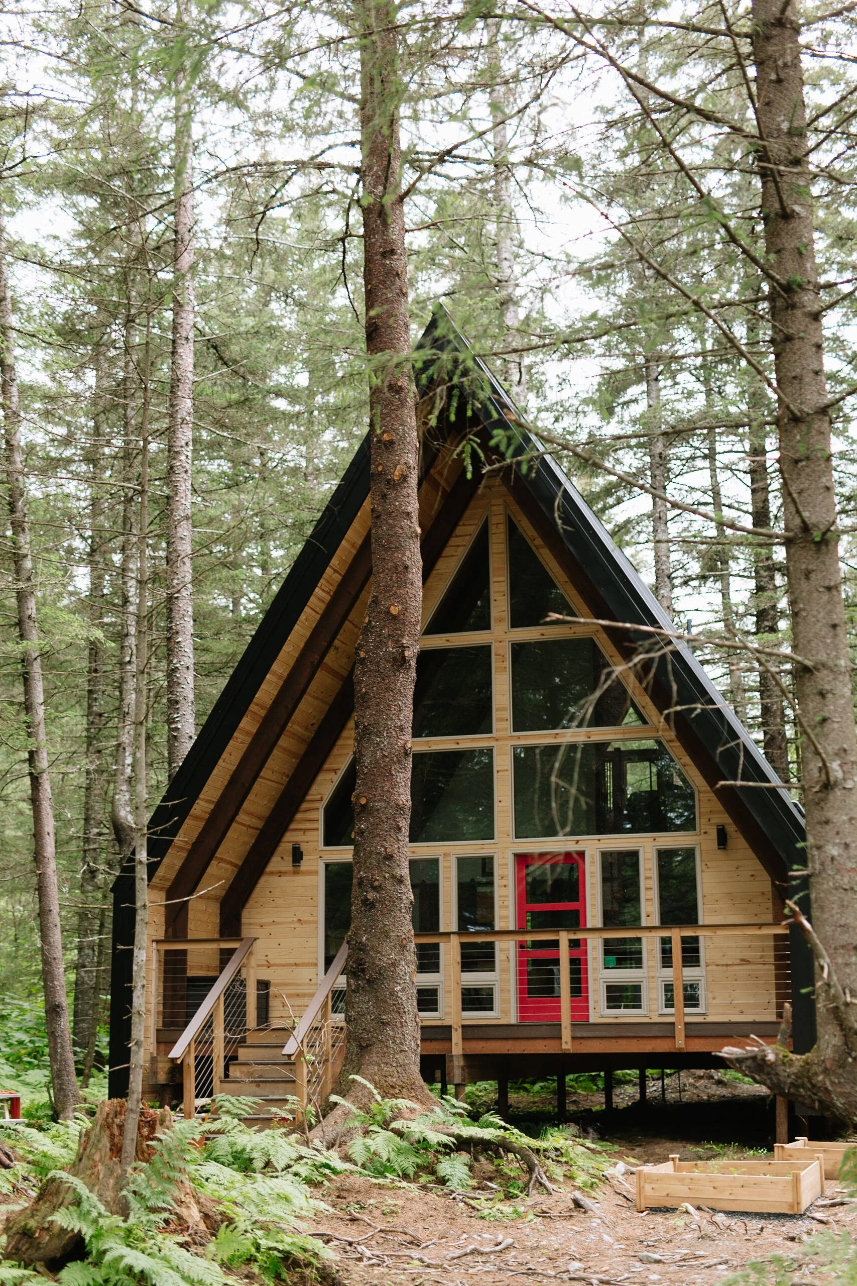 airbnb-photographer-lodging-cabins-STR-stays-by-juliana-renee.jpg