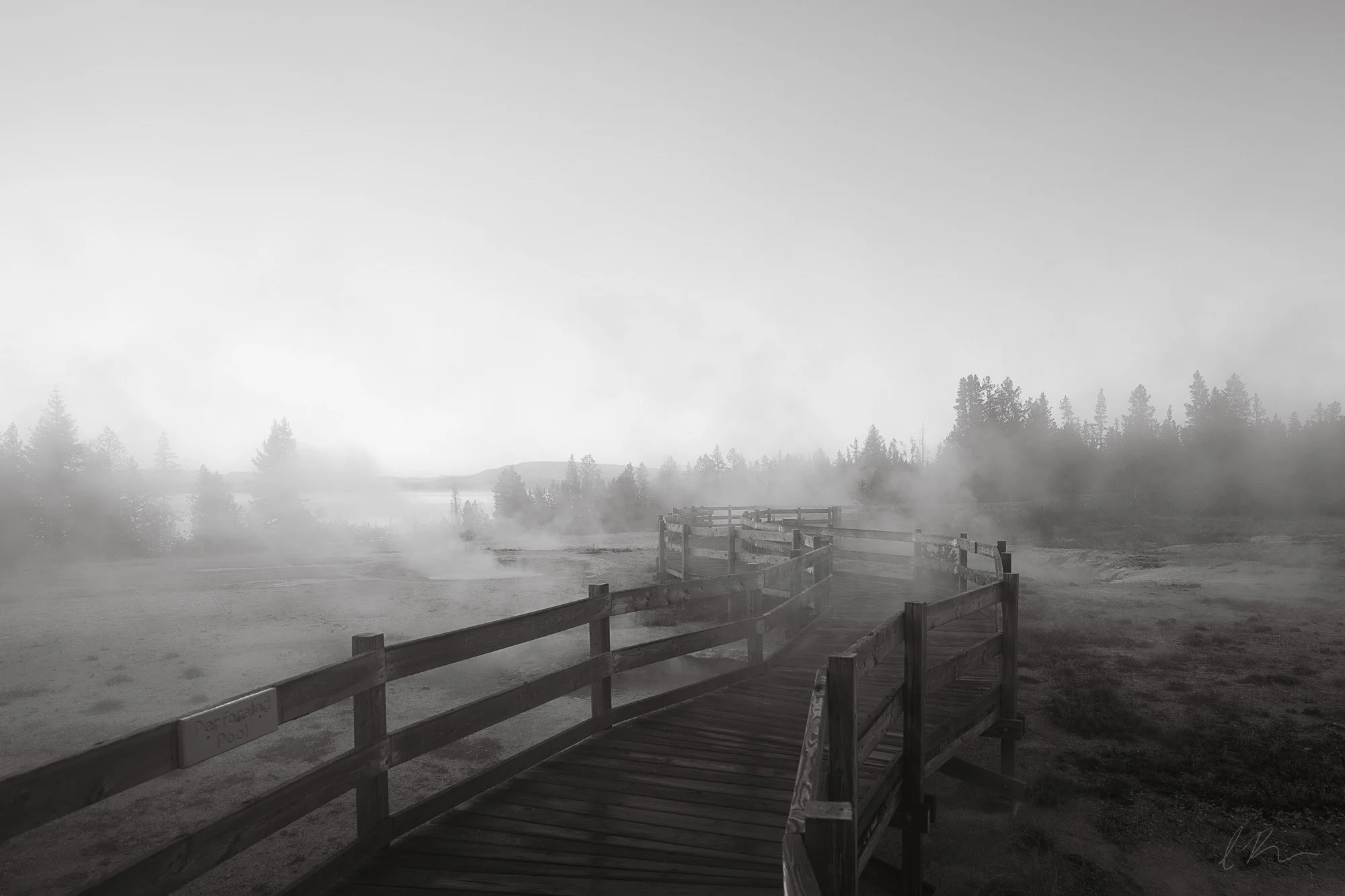 path through mist.jpg