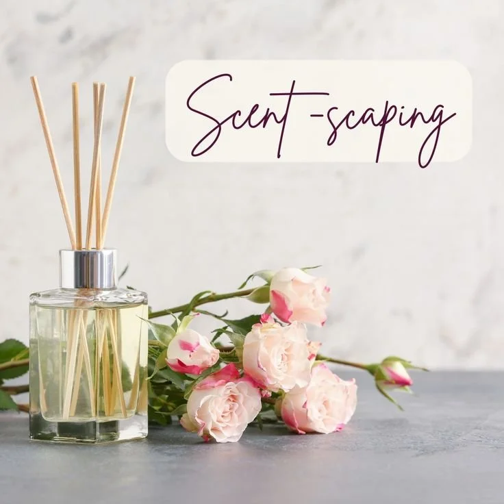 🌷Scent-scaping🌷 Fancy finding out more about….jpeg