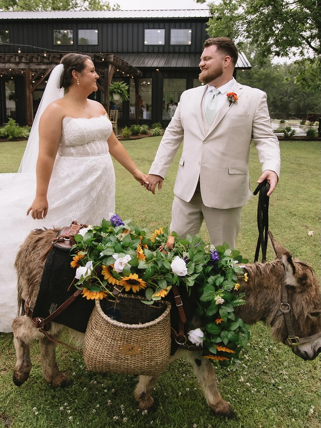 Donkey cuteness for your Sunday feed 🤭🤭🤭

@the.tucks 

#2026bride #2026wedding #bride #eventvenue #weddingvenue