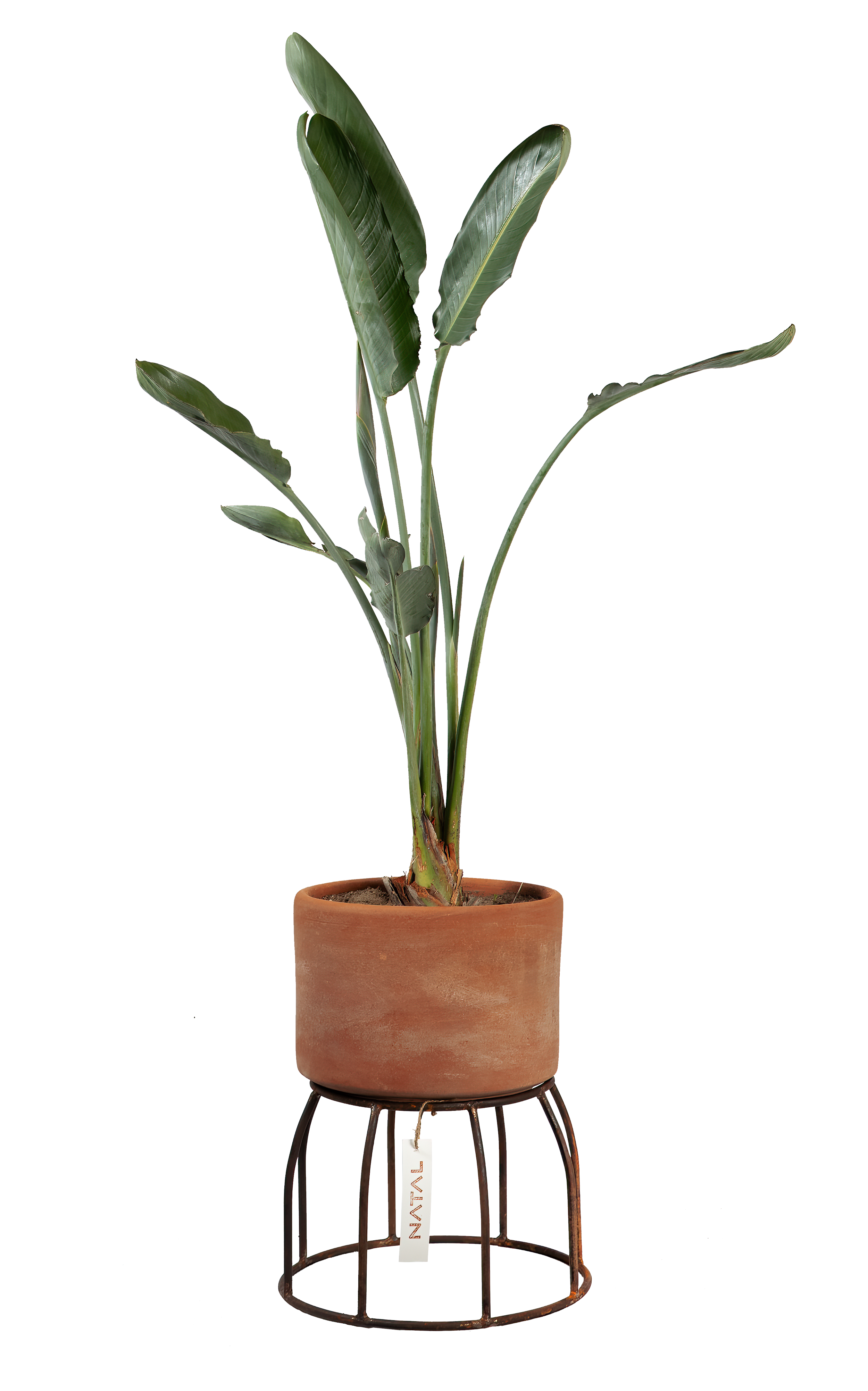 006__SetMacetas.png