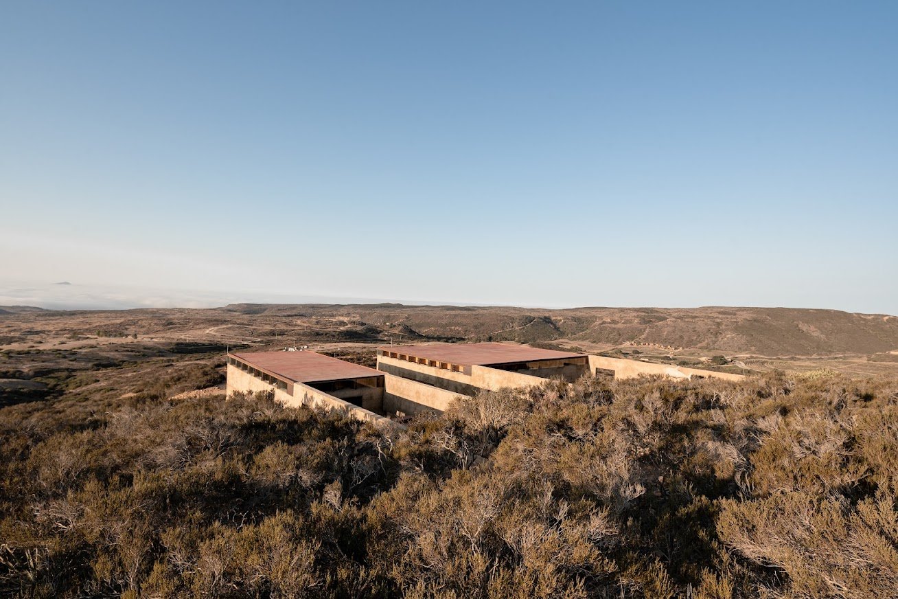 OH398_Galería CRIA_TADO_ALTA-05523.jpg