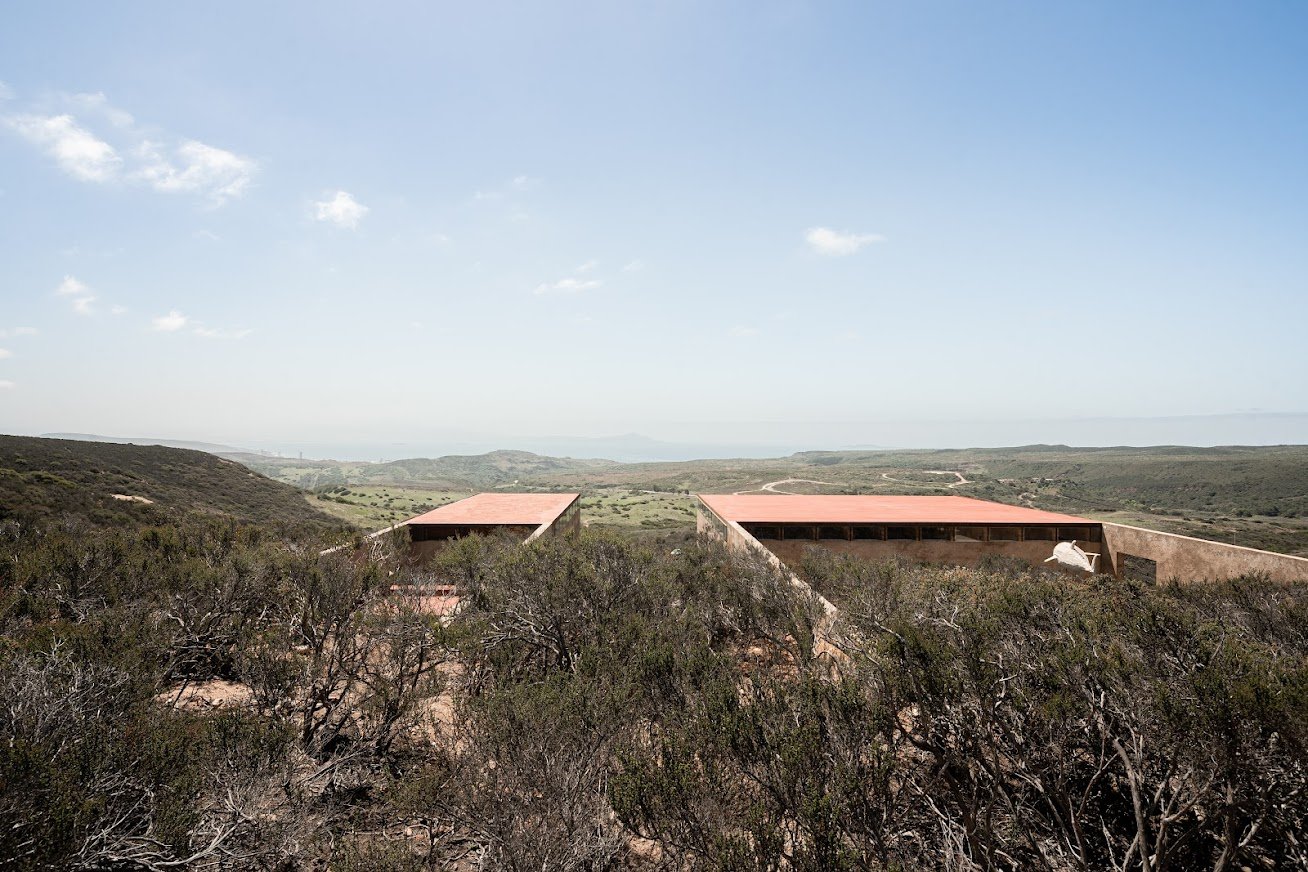 OH398_Galería CRIA_TADO_ALTA-7305109.jpg