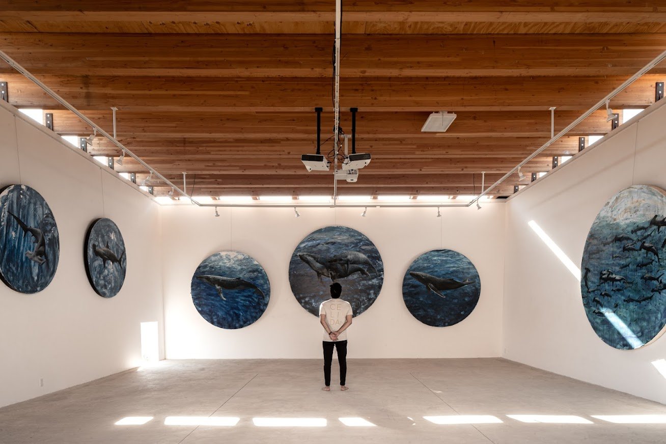 OH398_Galería CRIA_TADO_ALTA-05144.jpg