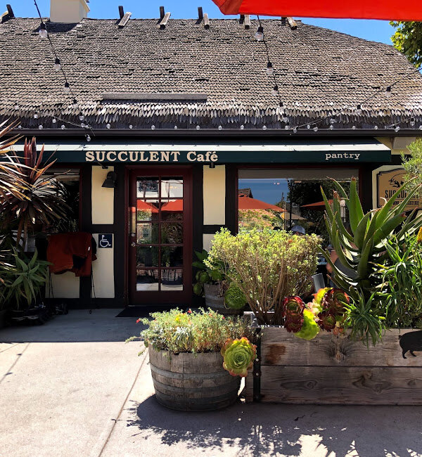 Succulent Cafe