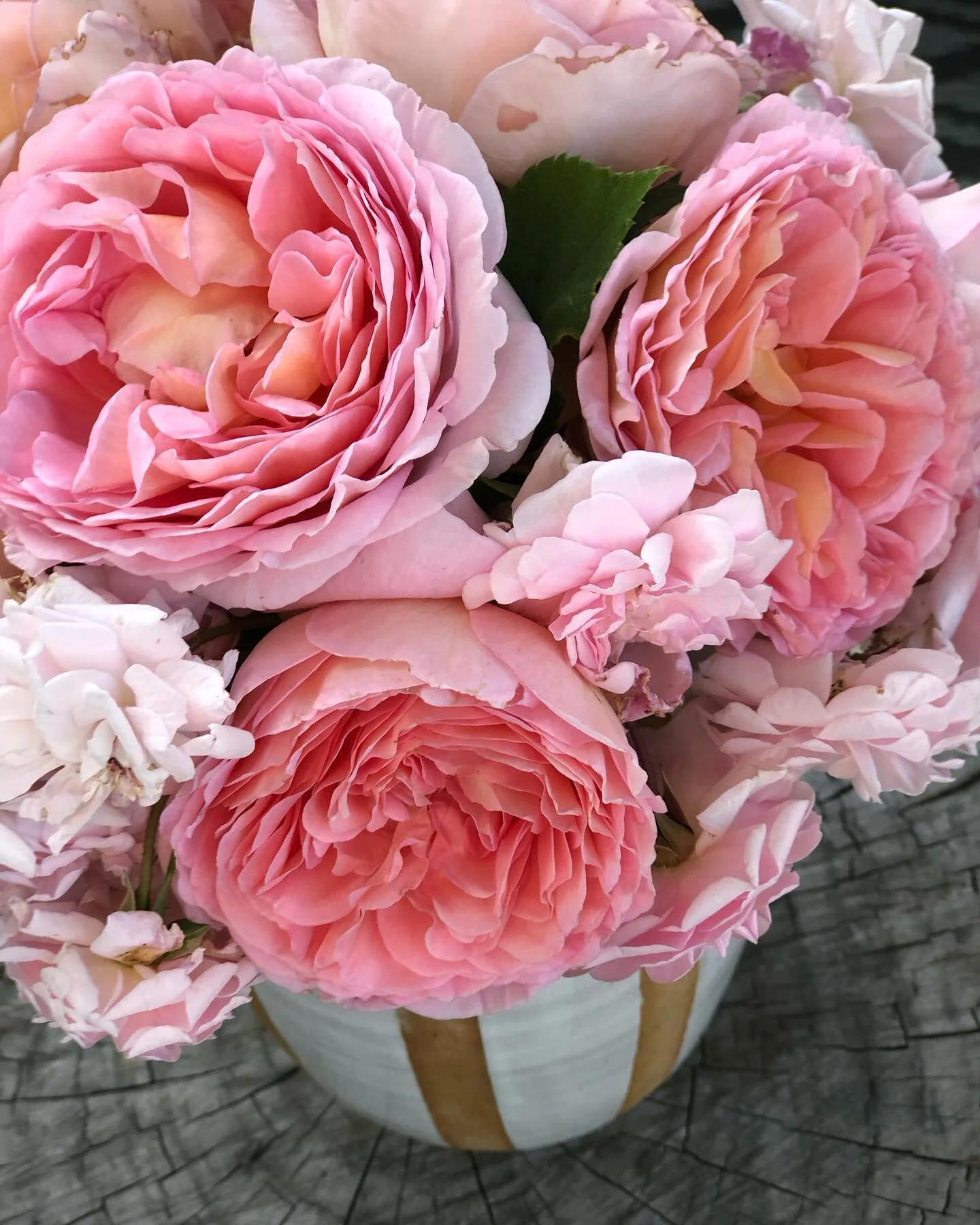 My maiden name means &ldquo;rose in the valley&rdquo; so I guess it all makes sense now.