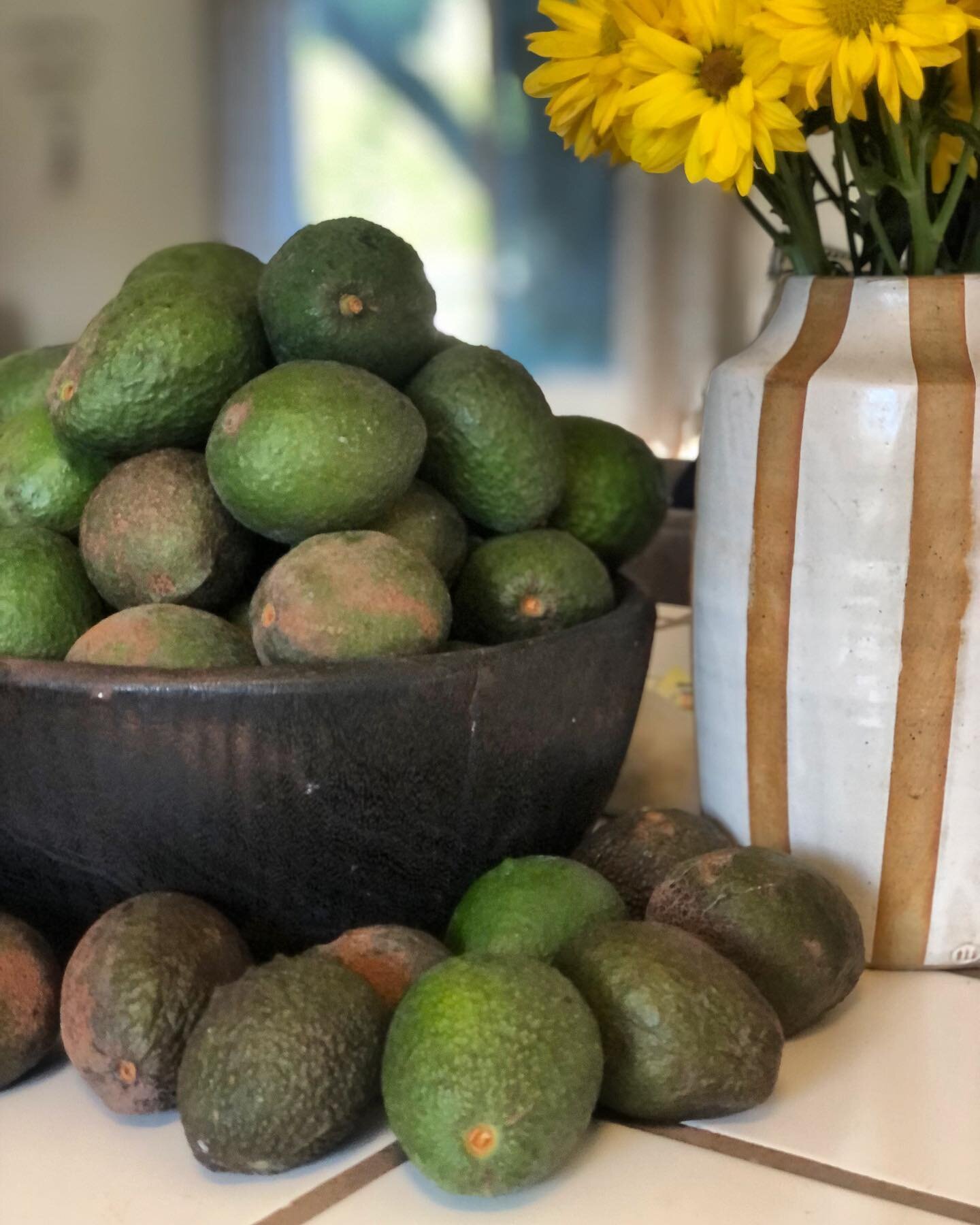 The feeling of abundance 🥑🥑🥑