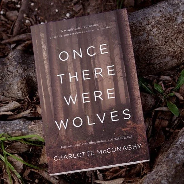 Once There Were Wolves is one that lingers. A story about rewilding, resilience, and what it means to protect something...land, animals, or yourself. Quietly fierce and beautifully written. If you&rsquo;re craving something a little different, this o